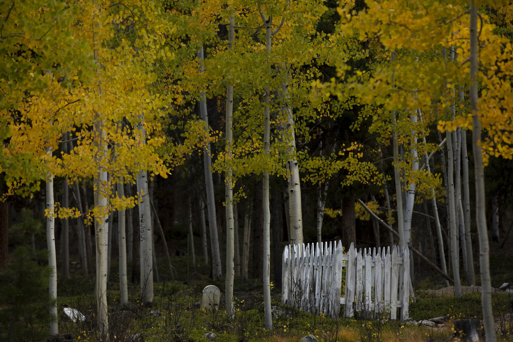 100219-news-fallcolors 05